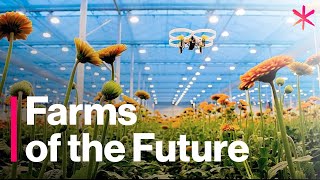 The Futuristic Farms That Will Feed the World  Freethink  Future of Food [upl. by Hildegard]