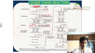 Ligase chain reaction LCR [upl. by Hodgkinson461]