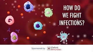 How do we fight infections [upl. by Philander]