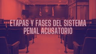 ETAPAS Y FASES DEL SISTEMA PENAL ACUSATORIO [upl. by Vidda186]