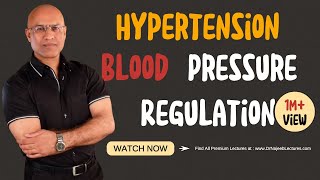 Hypertension  Blood Pressure Regulation  Hypotension [upl. by Lenaj]