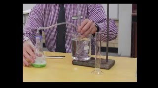 Catalase experiment [upl. by Keele]