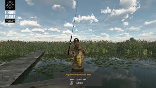 Fishing Planet  Everglades  Florida  Unique Butterfly Peacock Bass [upl. by Cj800]