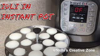 Idli In Instant Pot  How to Steam Idli in Instant Pot [upl. by Attenra]