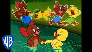 Tom amp Jerry  Best of Jerry and Little Quacker  Classic Cartoon Compilation  WB Kids [upl. by Nailil]