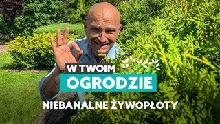 Niebanalne rośliny na żywopłot W Twoim ogrodzie [upl. by Mukund]