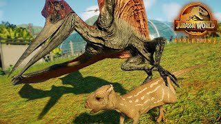 PTEROSAURS ATTACK DINOSAURS Aviary Mechanics Explored In Jurassic World Evolution 2 [upl. by Mag]