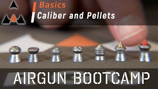 Airgun Pellet Calibers and Types  Airgun Bootcamp [upl. by Adda]