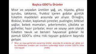 GDO Genetiği Değiştirilmiş Gıdalar [upl. by Imeka]