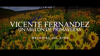 Vicente Fernández  Un Millón de Primaveras LETRA [upl. by Llevart]