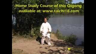 Tai Chi Qigong Shibashi  Set 2 [upl. by Aikim444]