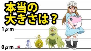 はたらく細胞 敵キャラを、実際の大きさで比較してみた！ Hataraku Saibou [upl. by Etnoved]