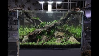 Nature Aquarium Aquascape Tutorial  The ADA Way By Aquarium Gardens [upl. by Stanzel]