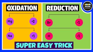 Oxidation and Reduction Reactions [upl. by Marilyn]