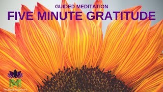 5 Minute Guided Meditation for Gratitude  Mindful Movement [upl. by Nalad]