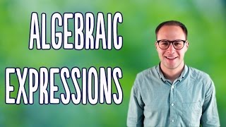 Algebraic Expressions Basics [upl. by Engud]