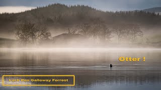 Galloway Forrest 4K [upl. by Aicnelav494]