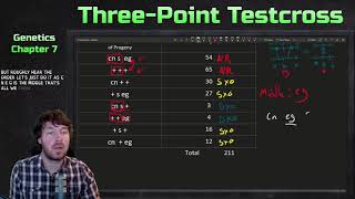 ThreePoint Testcross Example  Genetics [upl. by Perrins]