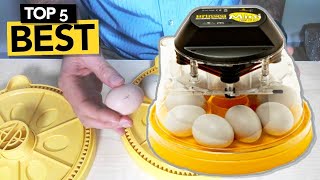 ✅ TOP 5 Best Egg Incubator you must own [upl. by Yxel]