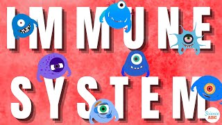 Immune System Innate and Adaptive Immunity Explained [upl. by Malo]