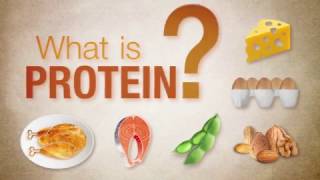 What is protein  Herbalife Nutrition [upl. by Alessandro]