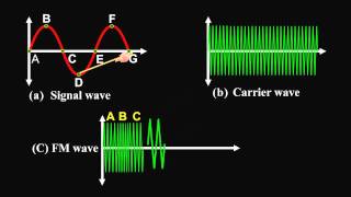 Amplitude Modulation and Frequency Modulation [upl. by Yenots]