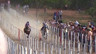 Corrida de Cavalos em Sumé DISPUTA ACIRRADA [upl. by Wilda]