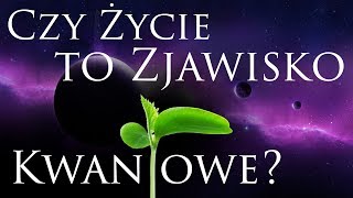 BIOLOGIA KWANTOWA  WPROWADZENIE Polski Dokument BaldTV [upl. by Oicnevuj]