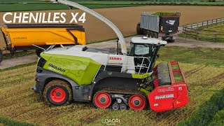 😱💪CHENILLES x4  CLAAS TT amp JOHN DEERE 8RT  HORSCH FOCUS  ☘ [upl. by Bara]