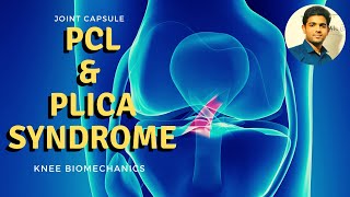 POSTERIOR CRUCIATE LIGAMENT amp Plica syndrome Knee Biomechanics [upl. by Roarke]