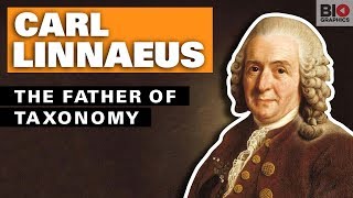 Carl Linnaeus The Father of Taxonomy [upl. by Meurer593]