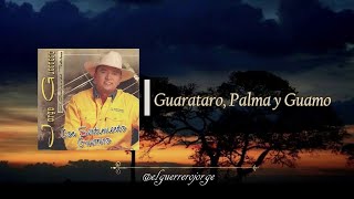 Jorge Guerrero  Guarataro Palma y Guamo [upl. by Nesaj]