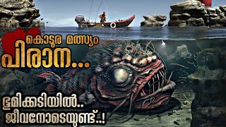 നദിയിലെ രാക്ഷസ മത്സ്യം  Piranha Malayalam Explanation  Mallu Explainer [upl. by Laurent]