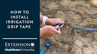 How to Install a Drip Tape Irrigation System [upl. by Kcinnay884]