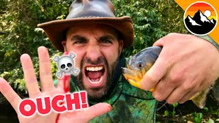 EATEN ALIVE  Human Hands vs Piranha [upl. by Serene336]