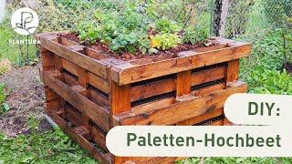 DIY Hochbeet aus Paletten selber bauen Anleitung [upl. by Nosduj]