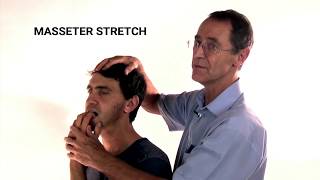 How to Stretch the Masseter Muscle  Trigger Point Therapy [upl. by Attenor]