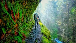 Eagle Creek Trail  Oregon USA  Stunning Footage [upl. by Ayota784]