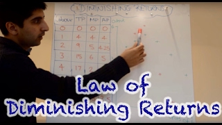 Y2IB 1 Law of Diminishing Returns [upl. by Touber]