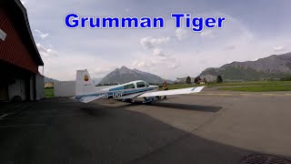 Grumman Tiger Grumman American AA5B [upl. by Nyladnar]