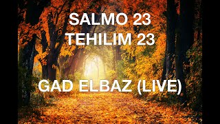 SALMO 23 GAD ELBAZ EN VIVO LYRICS ESPAÑOL FONETICA HEBREA [upl. by Nuahsyd]