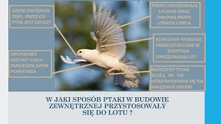 Ptaki  kręgowce zdolne do lotu biologia szkoła podstawowa [upl. by Cornwell]