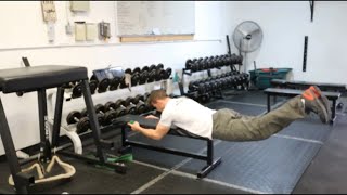 Bodyweight Reverse Hyperextension [upl. by Cope359]