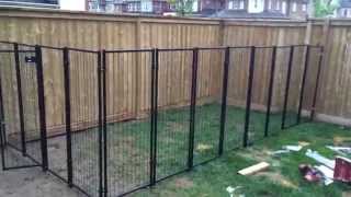 Backyard Renovation Building the Dog Fence part 2 [upl. by Anak]