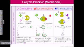 Enzyme inhibition [upl. by Atterrol908]