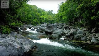 10 Hours Of Relaxing Jungle Sounds  Planet Earth II  BBC Earth Explore [upl. by Dalt]