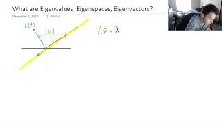 Eigenvectors Eigenvalues Eigenspaces Explained Easy Explanation [upl. by Arrekahs]