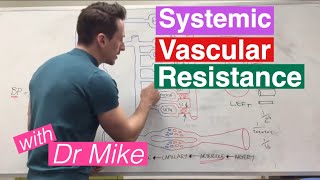 Systemic Vascular Resistance Total Peripheral Resistance  Cardiology [upl. by Cynthia]