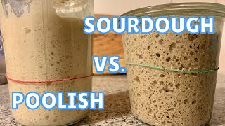 SOURDOUGH and POOLISH  What are the DIFFERENCES [upl. by Einnaffit62]