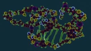 What is Protein Denaturation  Food Science [upl. by Lillie]